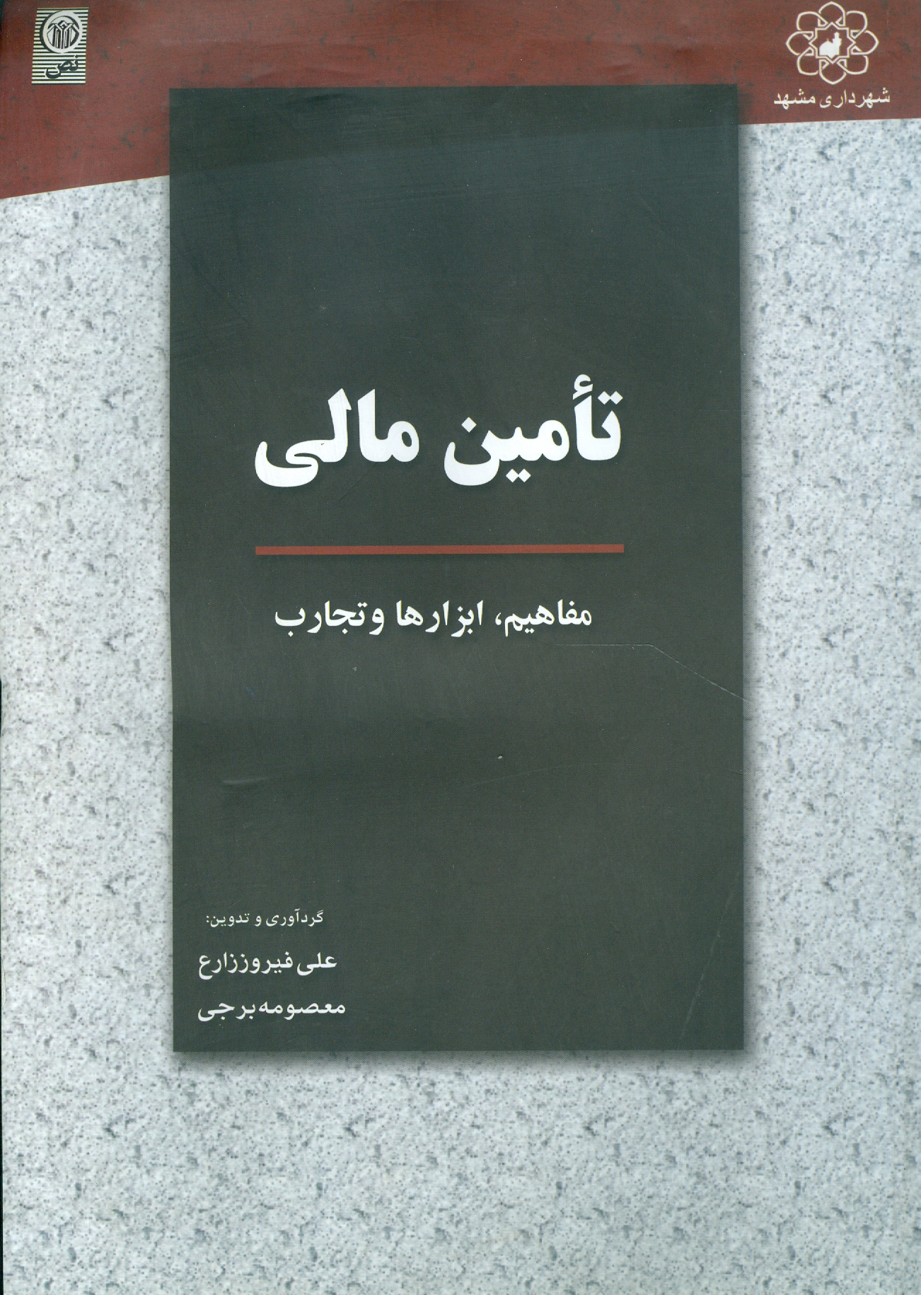 تأمین مالی مفاهیم, ابزارها و تجارب